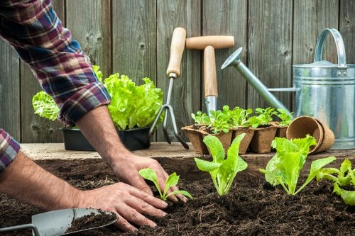 Risk assessment and safety planning for garden maintenance