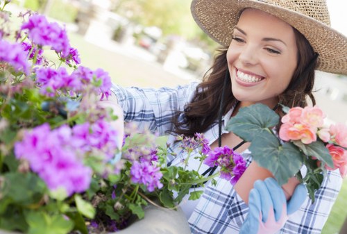 Deck maintenance and repair services